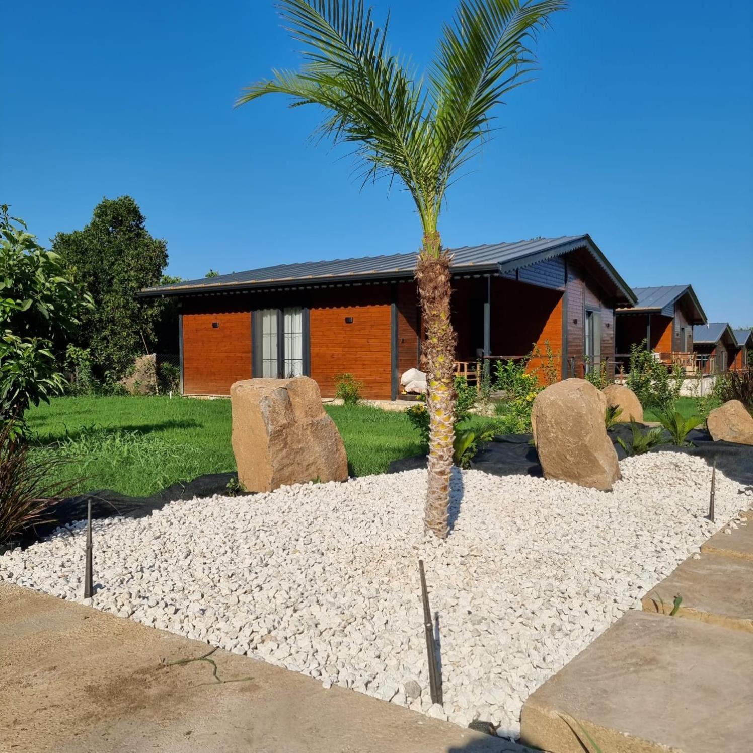 Cirali Simge Holiday Houses 외부 사진