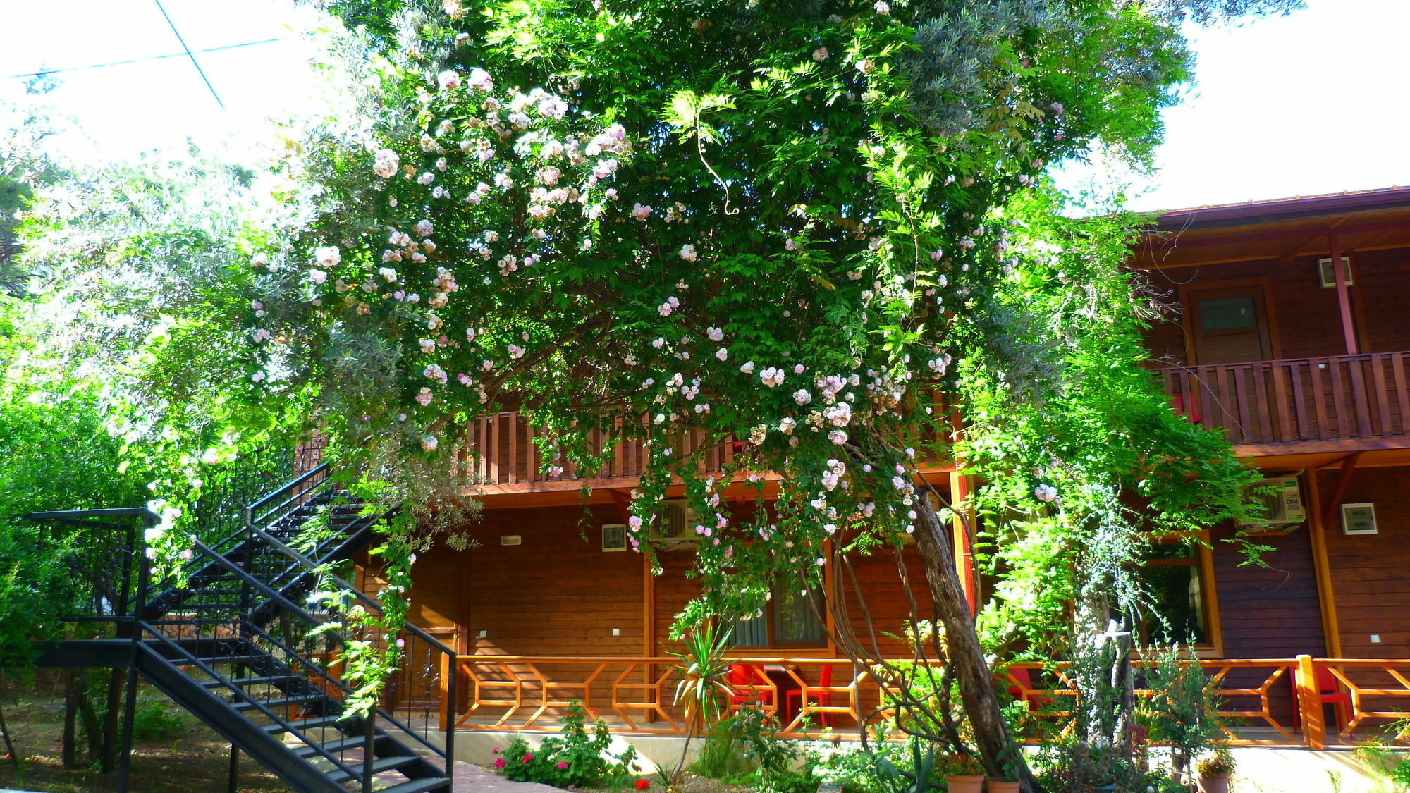 Cirali Simge Holiday Houses 외부 사진